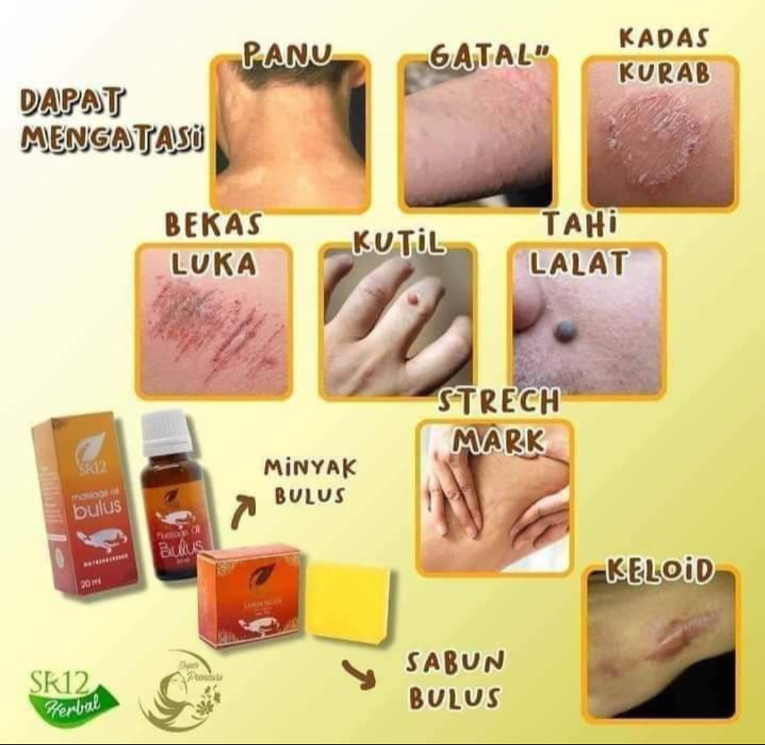 Massage oil bulus (minyak bulus)